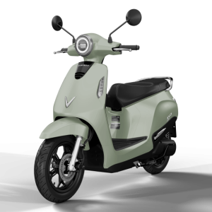 VinFast Evo